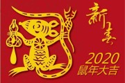 2020年运势，生肖鼠的机遇与并存的一年
