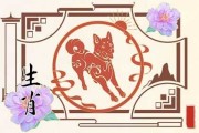 生肖狗运势评估，运势分析与提升建议