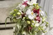 八字测算婚姻，从相克到相生，解读婚姻中的八字奥秘