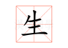生男孩打什么码？周公解梦的智慧与现代启示