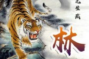 虎宝宝取名韬字巧用，寓意深远，展现雄风！