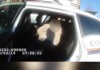 周公解梦我离家出走了什么意思，解码内心渴望与现实困境