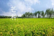 芒种时节，生肖运势解析