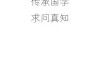 八字测算排盘问真，从基础到高级的全解析