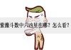 号码吉凶，紫薇星的神秘力量与号码选择