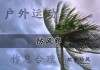 植物与，驱邪之最