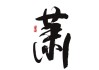 姓萧宝宝取名，传统与现代的结合