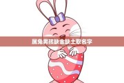 兔宝宝男孩取名，缺土金的寓意与选择