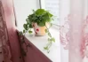 屋内摆放花盆的讲究与选择建议