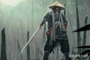 侠客，正义与阴影的双重奏