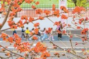 19年3月26日，一个值得铭记的日子