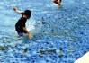 梦见池沟抓鱼，周公解的智慧与启示