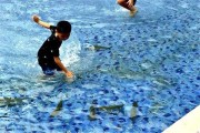 梦见池沟抓鱼，周公解的智慧与启示