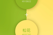 接下来，我需要考虑每个颜色的具体适用场景和寓意，确保准确且有深度。同时，要提供一些小贴士，比如颜色搭配和摆放建议，让文章更实用。最后，总结一下选择颜色时的注意事项，帮助读者做出更合适的选择