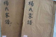 杨姓宝宝取名指南，传统与现代的结合