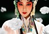 昆曲阿鼠求签演员表，经典演员及其代表作品解析