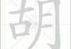 胡宝宝取名小名怎么样，寓意、发音与文化解析