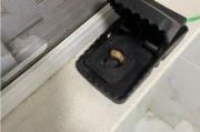 老鼠撞门，预兆与解梦探索