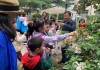 肉跳，科学与神秘的结合