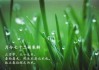 久旱迎春雨中的数字