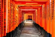 伏见稻荷大社求签在哪？历史与文化背后的神秘力量