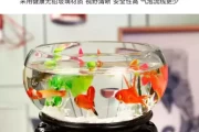 桌面缸，之道，轻松布置家中装饰艺术