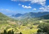 屋里放月季，这些禁忌你一定要知道！