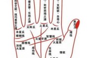 揭秘手纹看相，女性手纹吉凶，图解解析你的命运走向