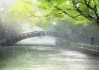 雨里捡到猴子，预兆与解梦解析