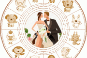 十二生肖复合运势解析，如何让更长久