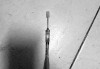 梦见胳膊，周公解的深层解析