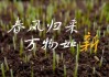 寒尽春来 万物更新