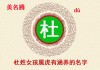 杜姓女孩宝宝取名的艺术与灵感，传承之美，创意无限
