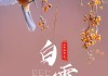 白露节气，天露为贵，时至