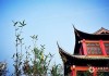 2022春节初一吉时辰，auspicious Moments in the New Year