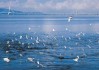 1999年9月19日，一个的日子