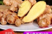 姜玉算命，哪本最值得一看？