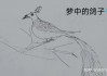 楼下的鸽子，预兆与解梦的启示
