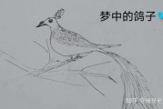 楼下的鸽子,预兆与解梦的启示 楼下的鸽子,预兆与解梦的启示