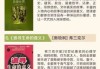 算命，一场跨越的文化狂欢与智慧对话