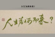 尊贵的先生，您为何而来？