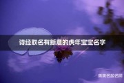女宝宝诗经取名指南，传承经典，诗意盎然