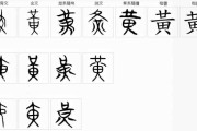 黄柳名字吉凶解释