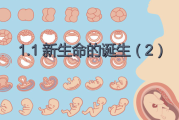 21号生娃吉时，科学解读与注意事项