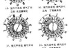解析中的气与脉，能量场与气机流