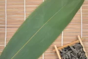 叶罗丽十二星座，守护者与光芒的