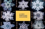 生命的起点，论中最理想楼层的选择