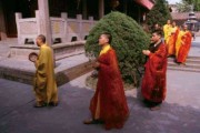 佛前求签能拍照吗？传统文化中的求签仪式与现代科技的结合