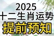 运势跳，揭秘十二生肖的飞跃之旅