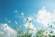 2020年3月30日，一个的日子